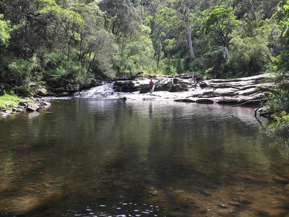 Cumberland River Holiday Park Lorne Eksteriør bilde